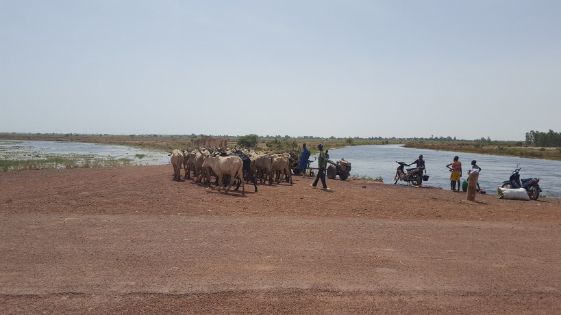 MACINA : démarrage de la campagne agricole 2019/2020 en zone office du Niger