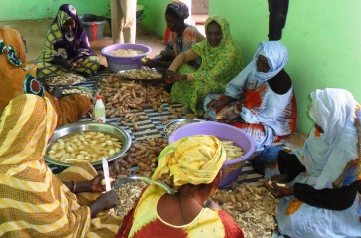 Koulikoro : une quarantaine de femmes outillées en transformation de produits agroalimentaires