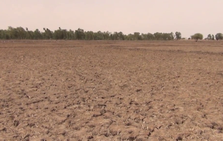 "Parlons de l'Environnement" : Changements climatiques, le Mali face aux défis financiers