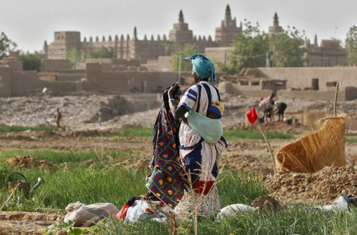 Litige foncier à Djenné : 14 morts et 47 blessés