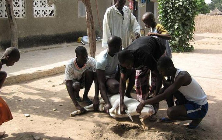 Nord, Sud, Centre du Mali : comment les jeunes envisagent de fêter la Tabaski ?