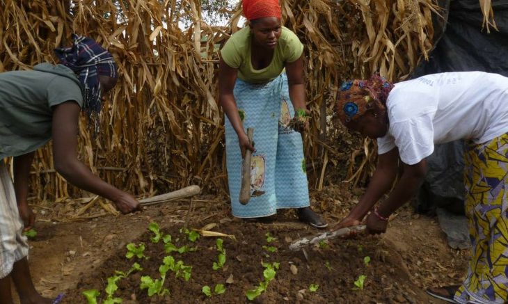 Le Magazine du 26 Mai 2017 : journée du paysan, les femmes haussent le ton